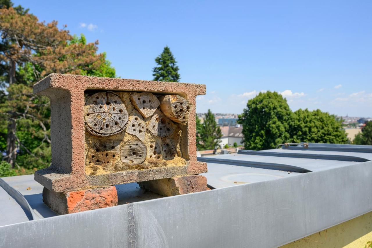 Terrace Lounge Ober St Veit Apartment